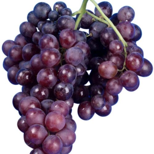 Raisin MUSCAT