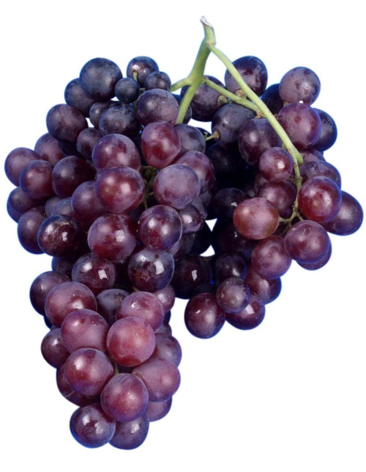 Raisin MUSCAT