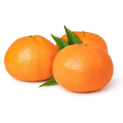 Clémentines ORRI