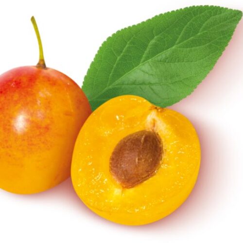 Prunes MIRABELLE
