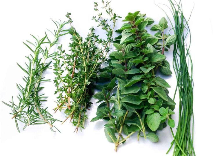 Herbes et épices fraîches