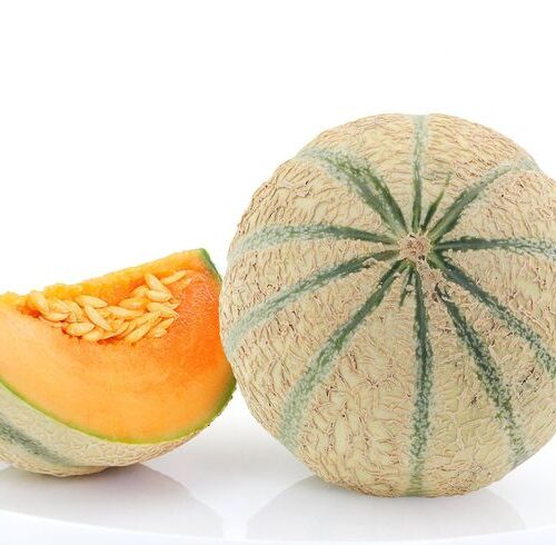 Melon CHARENTAIS
