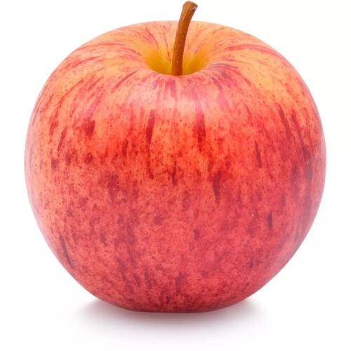 Pommes REINE DE REINES