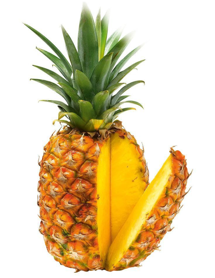 Ananas VECTORIA