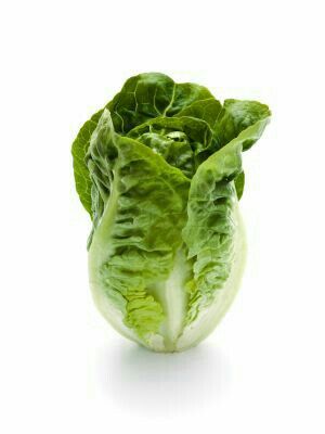 Salade sucrines