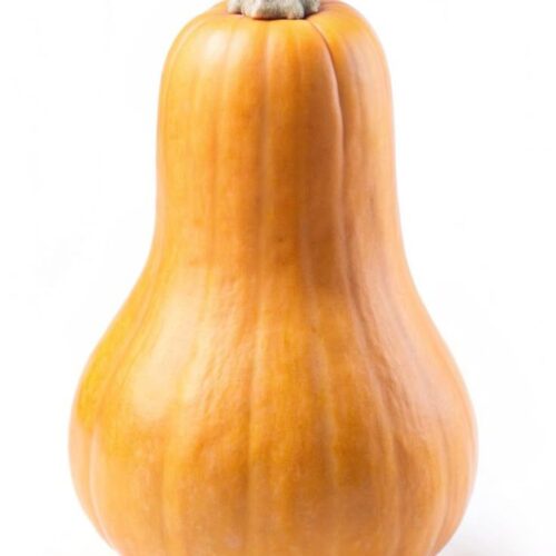 Courges Butternut