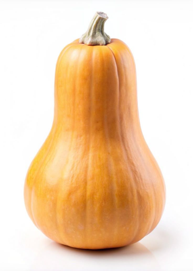 Courges Butternut