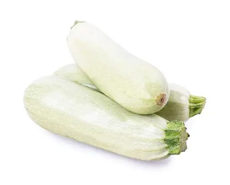 Courgettes Blanches