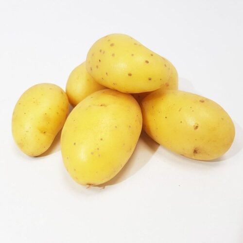 Pommes de Terre Agata
