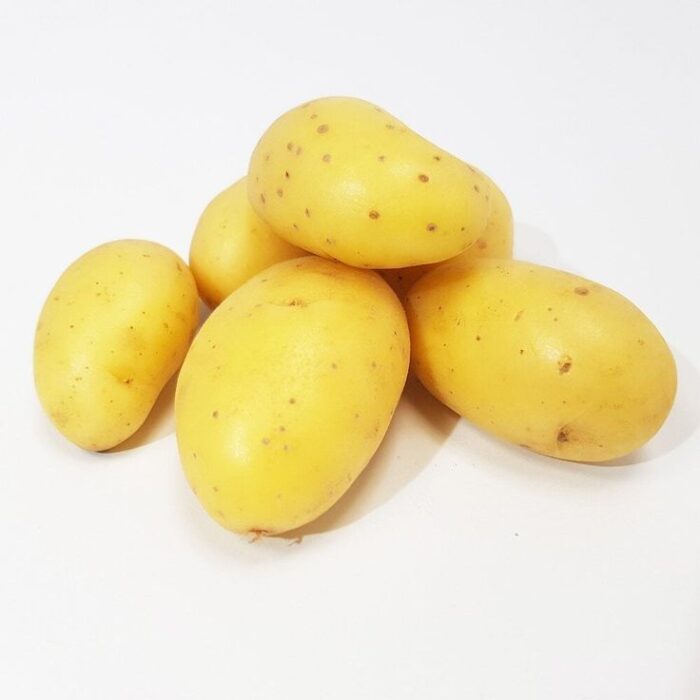Pommes de Terre Agata