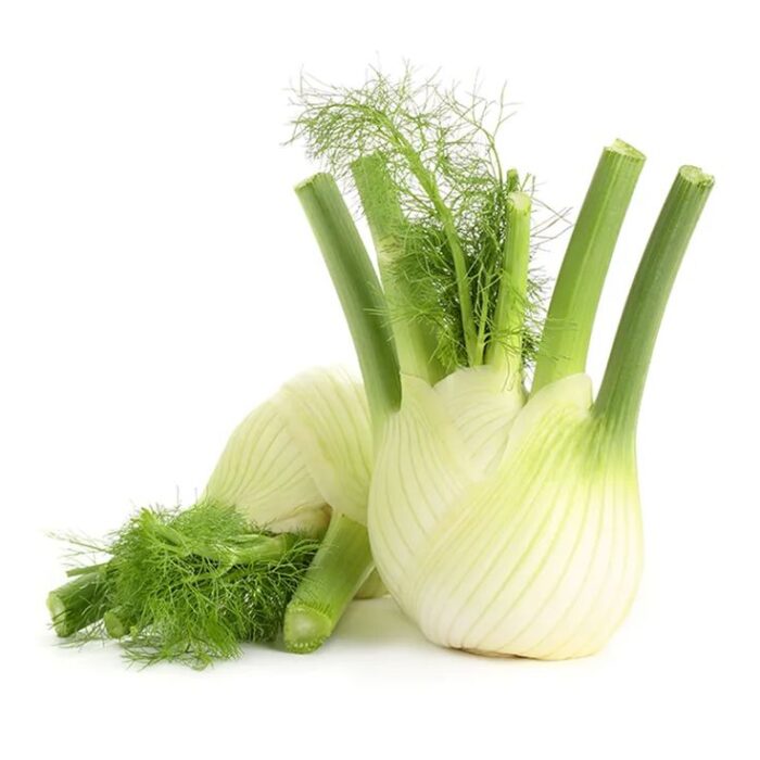 Fenouil