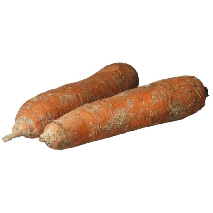 Carottes Sable